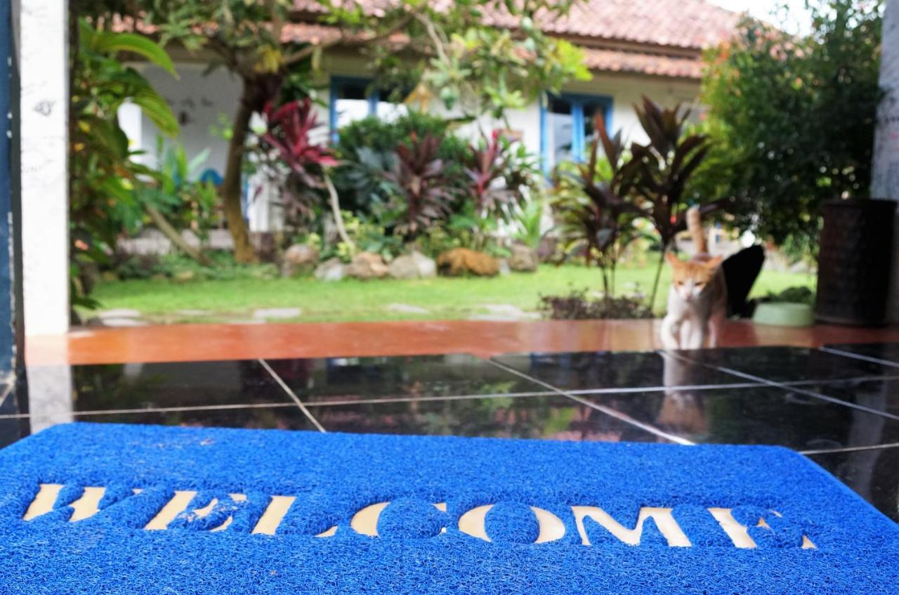 Same Same Bungalows Kuta  Buitenkant foto